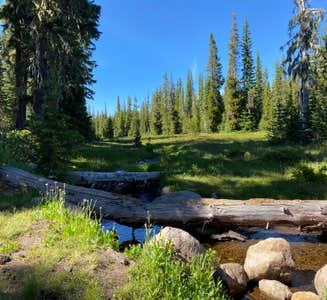 Camper-submitted photo from Bonney Meadows