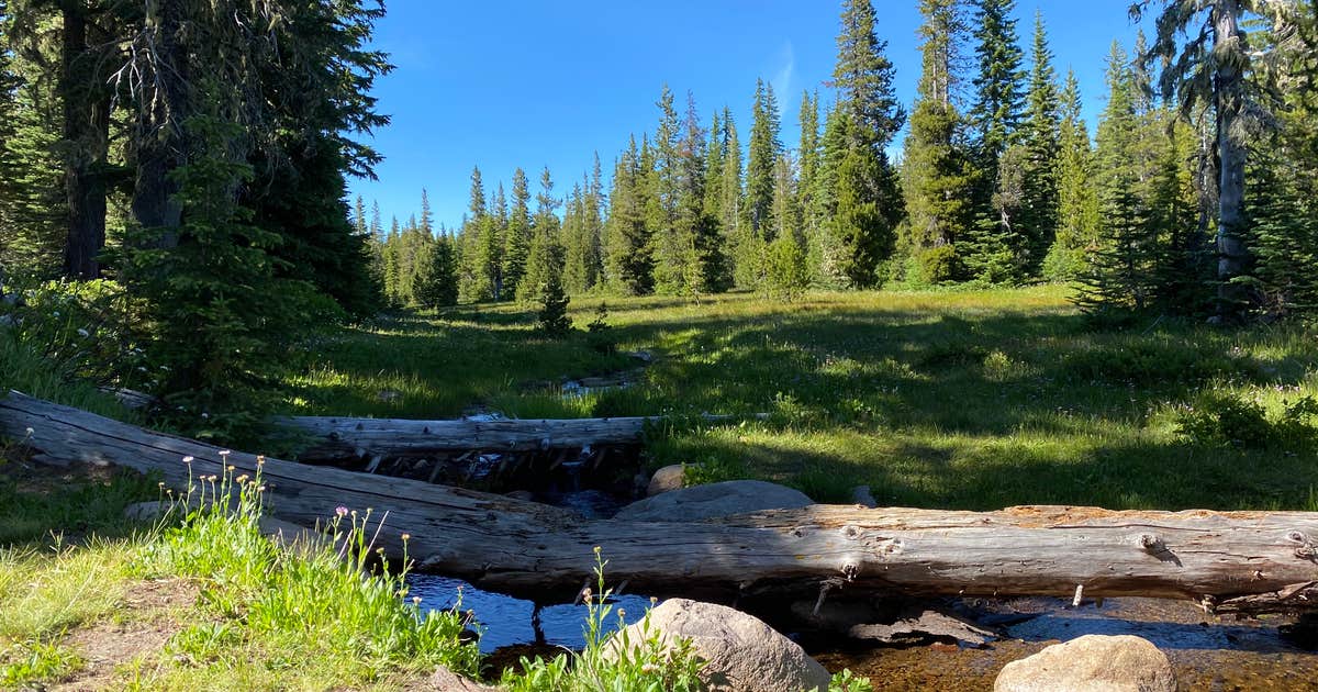 Bonney Meadows