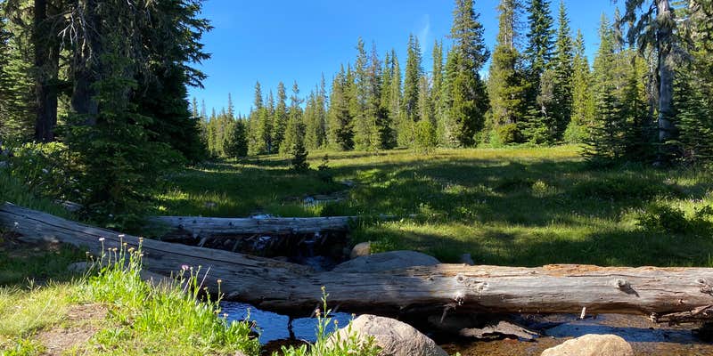 Camper submitted image from Bonney Meadows