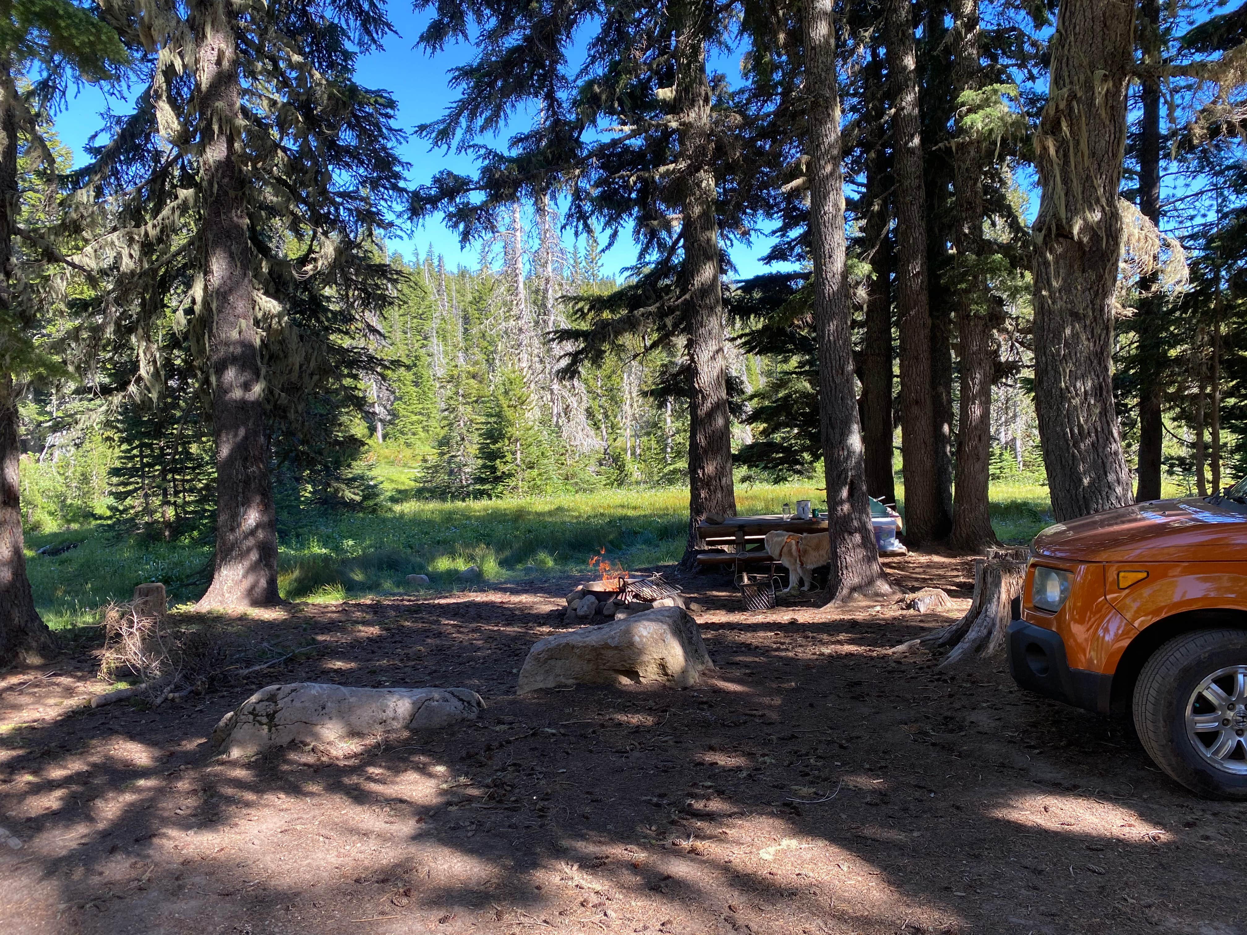 Camper-submitted photo at Bonney Meadows near Mt. Hood National Forest