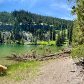 Review photo of Bonney Meadows by Lisa K., August 12, 2020