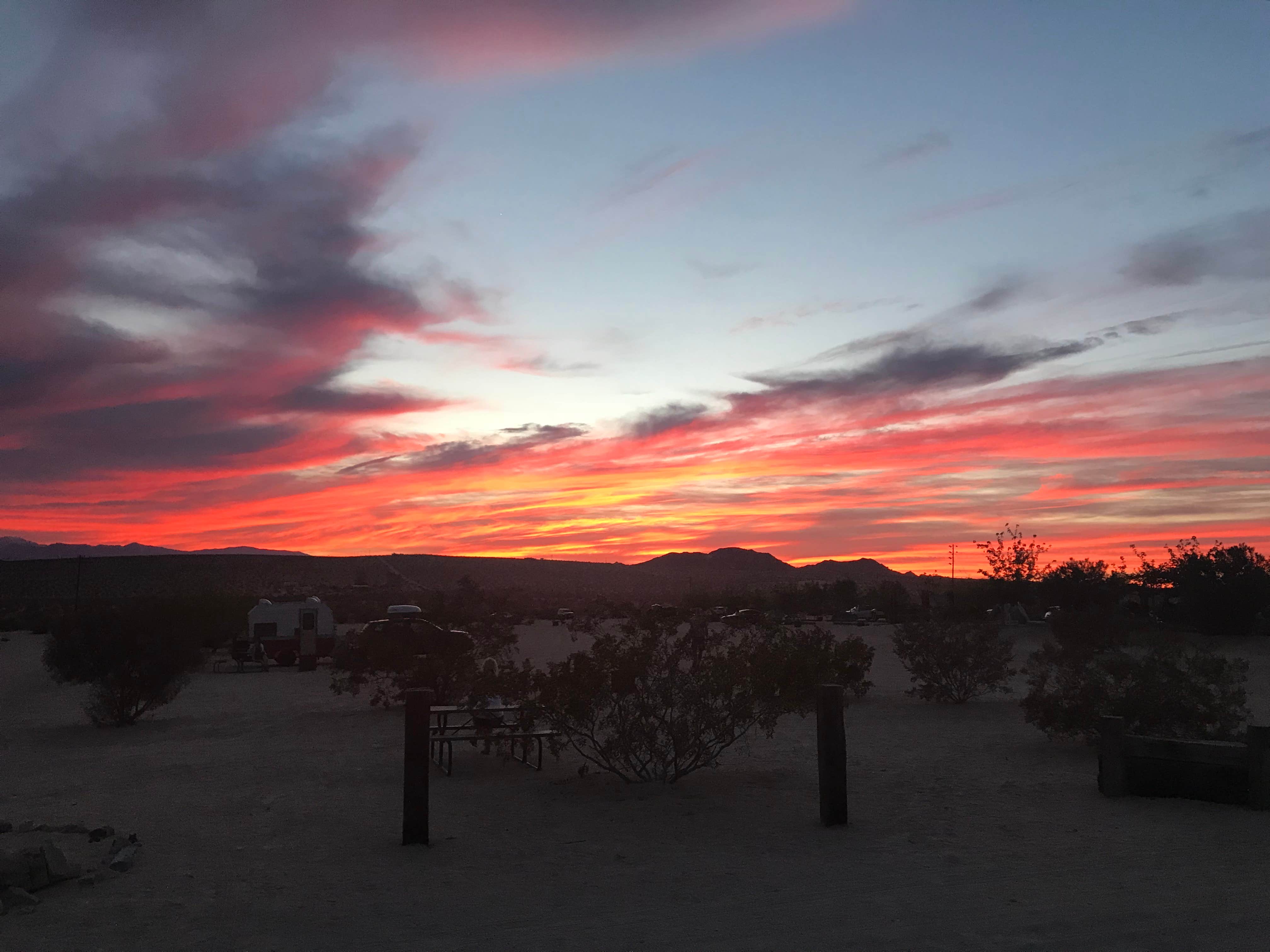 Camper submitted image from Joshua Tree Lake RV & Campground - 4