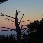 Review photo of Sky Campground — Point Reyes National Seashore by MarinMaverick , August 12, 2020