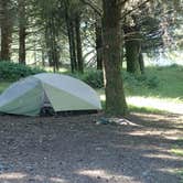 Review photo of Sky Campground — Point Reyes National Seashore by MarinMaverick , August 12, 2020