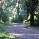 Review photo of Sky Campground — Point Reyes National Seashore by MarinMaverick , August 12, 2020