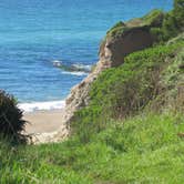 Review photo of Coast Campground — Point Reyes National Seashore by MarinMaverick , August 13, 2020