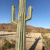 Review photo of Joshua Tree Lake RV & Campground by Lindy C., April 24, 2018