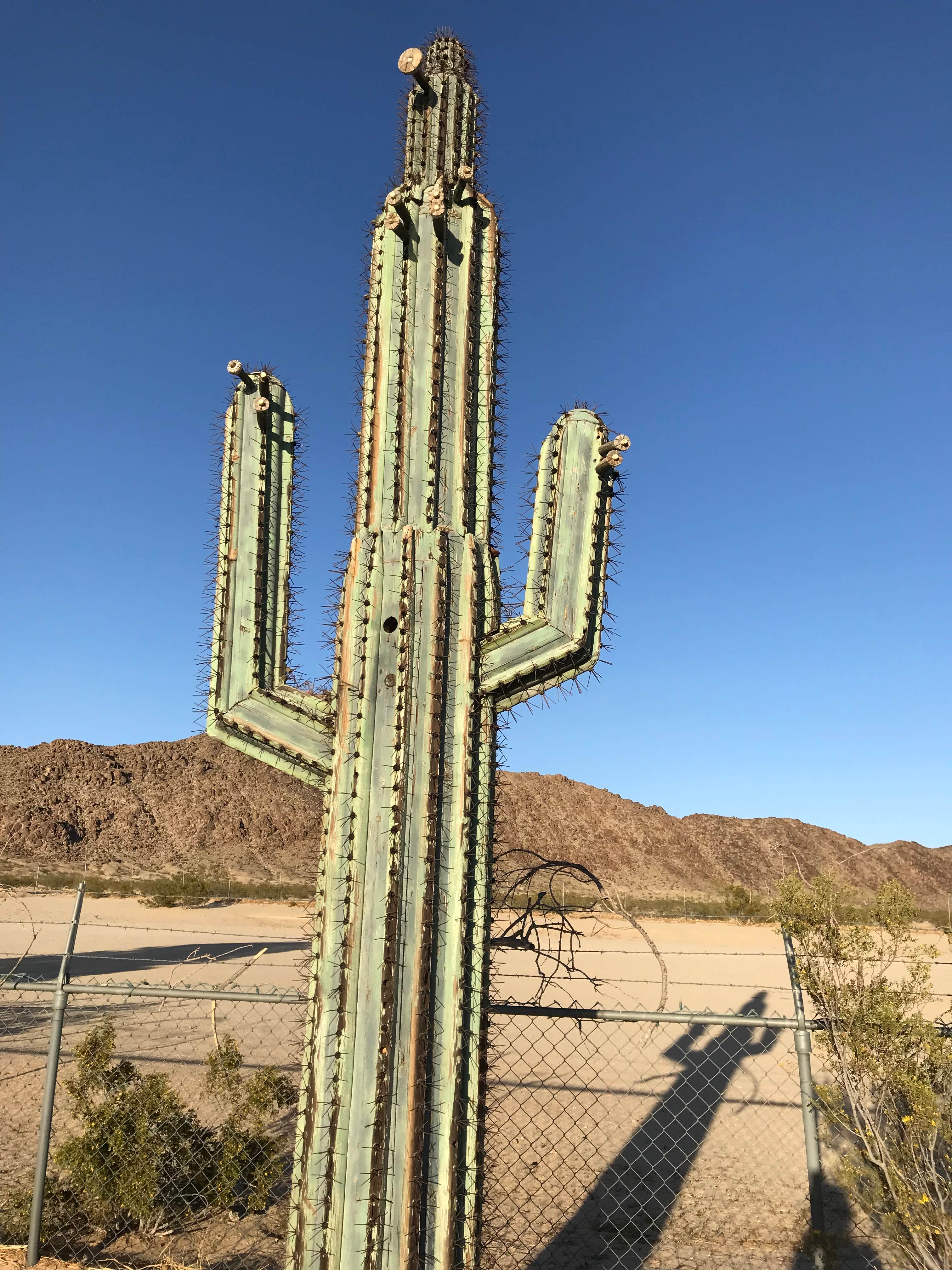 Camper submitted image from Joshua Tree Lake RV & Campground - 2