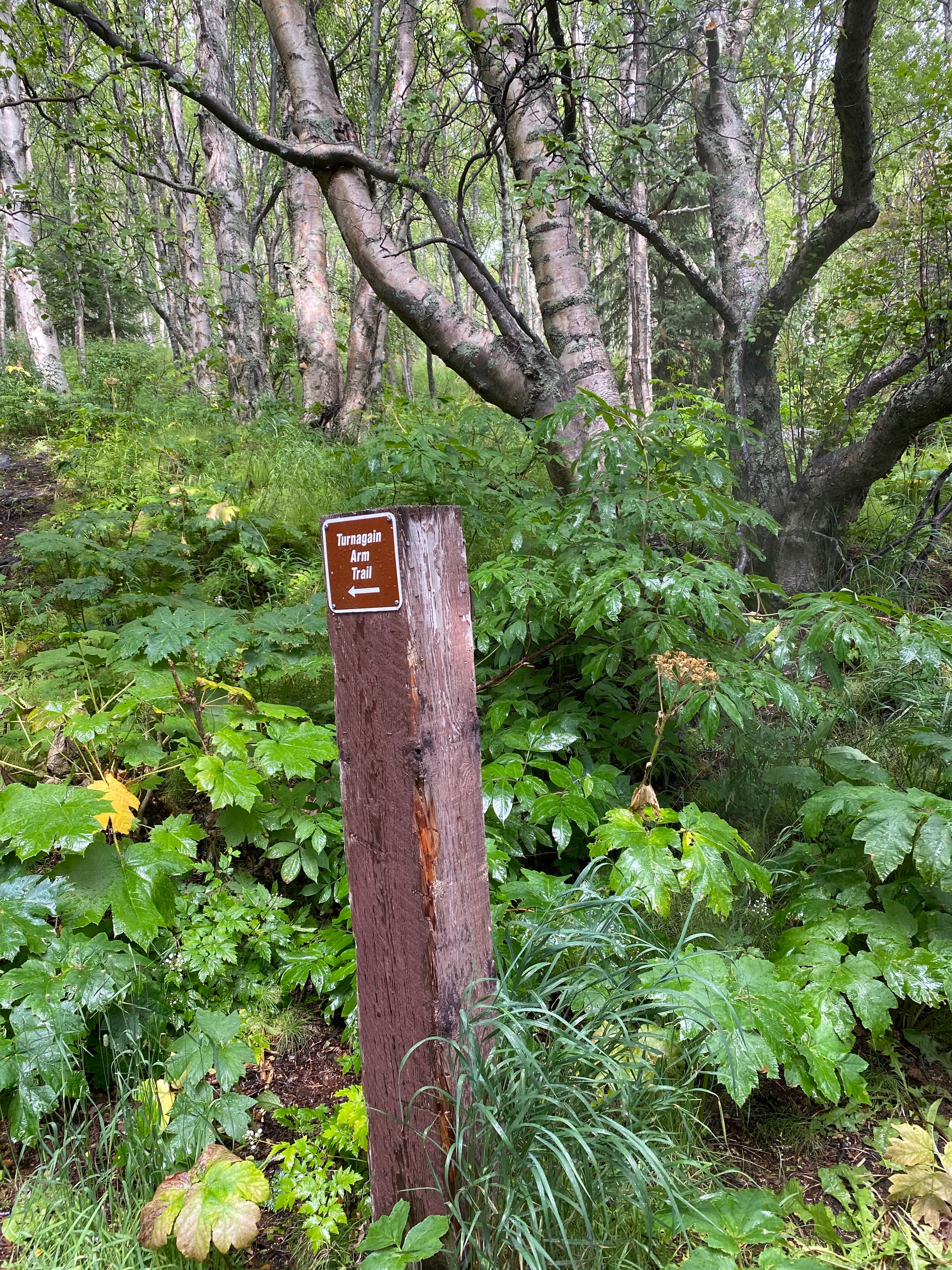 Camper-submitted photo at Rabbit Lake Primitive Campsites near Anchorage, AK