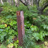 Review photo of Rabbit Lake Primitive Campsites by Tanya B., August 13, 2020