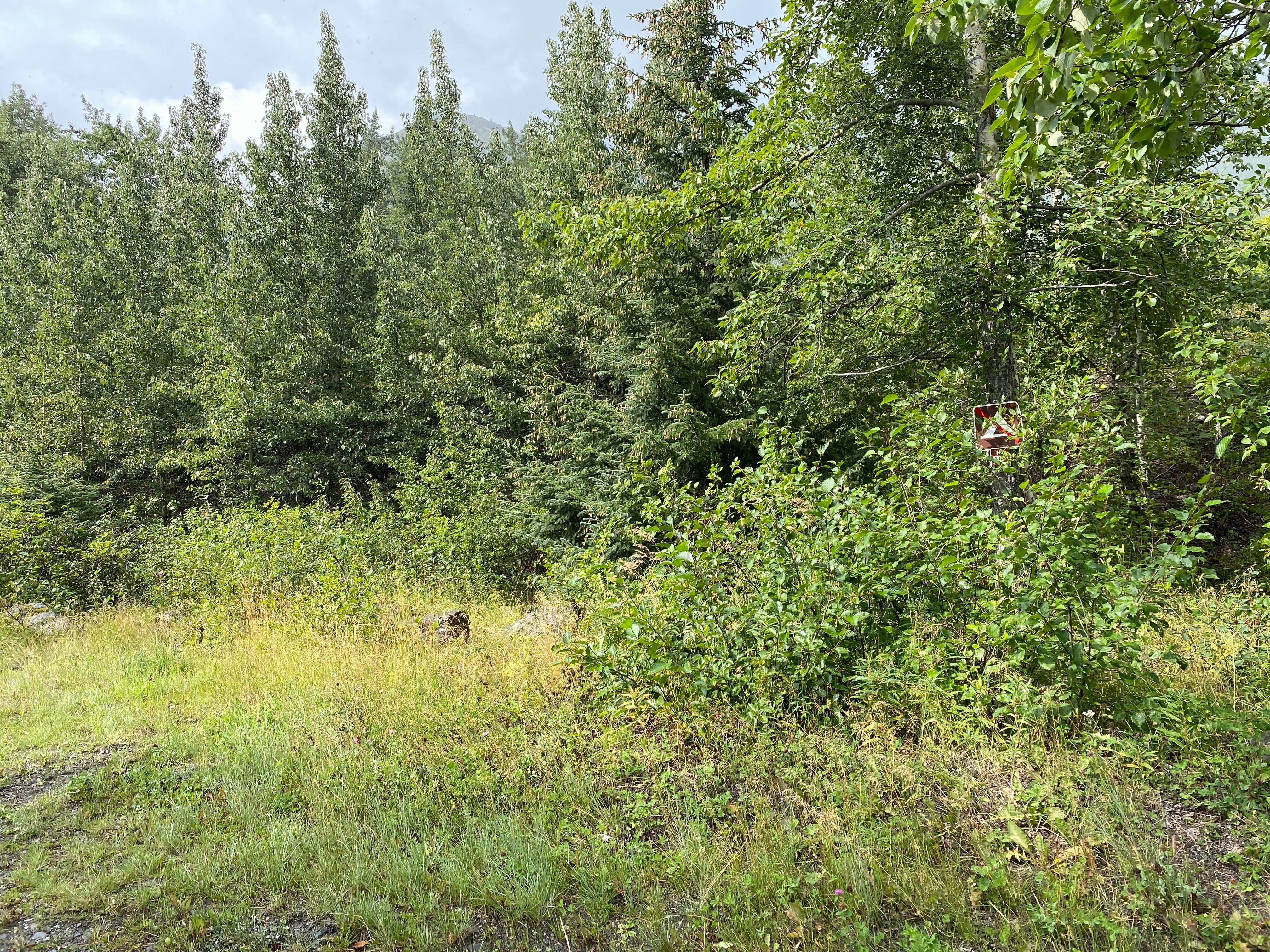 Camper-submitted photo at Rabbit Lake Primitive Campsites near Anchorage, AK