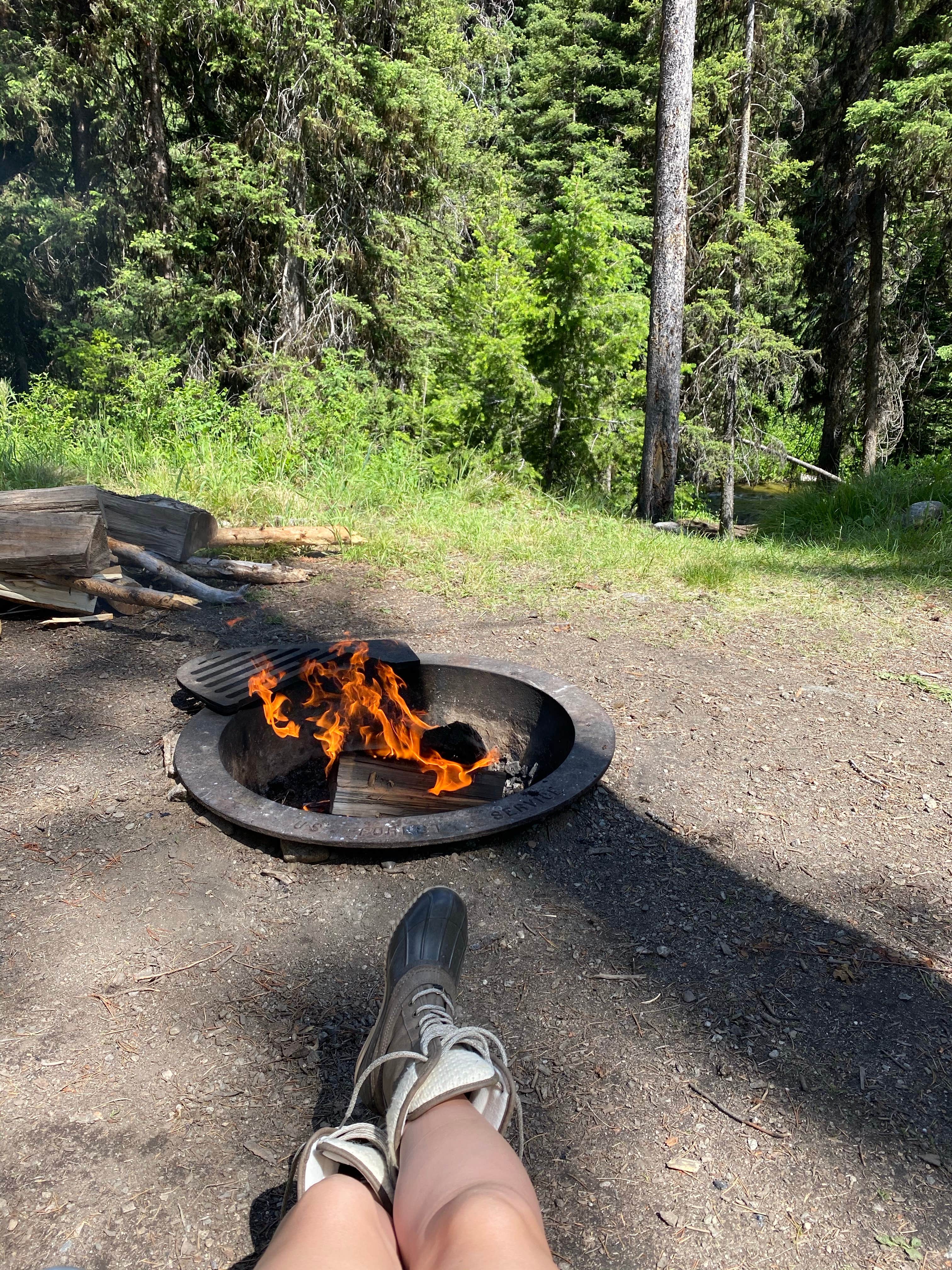 Camper submitted image from Martin Creek - 5