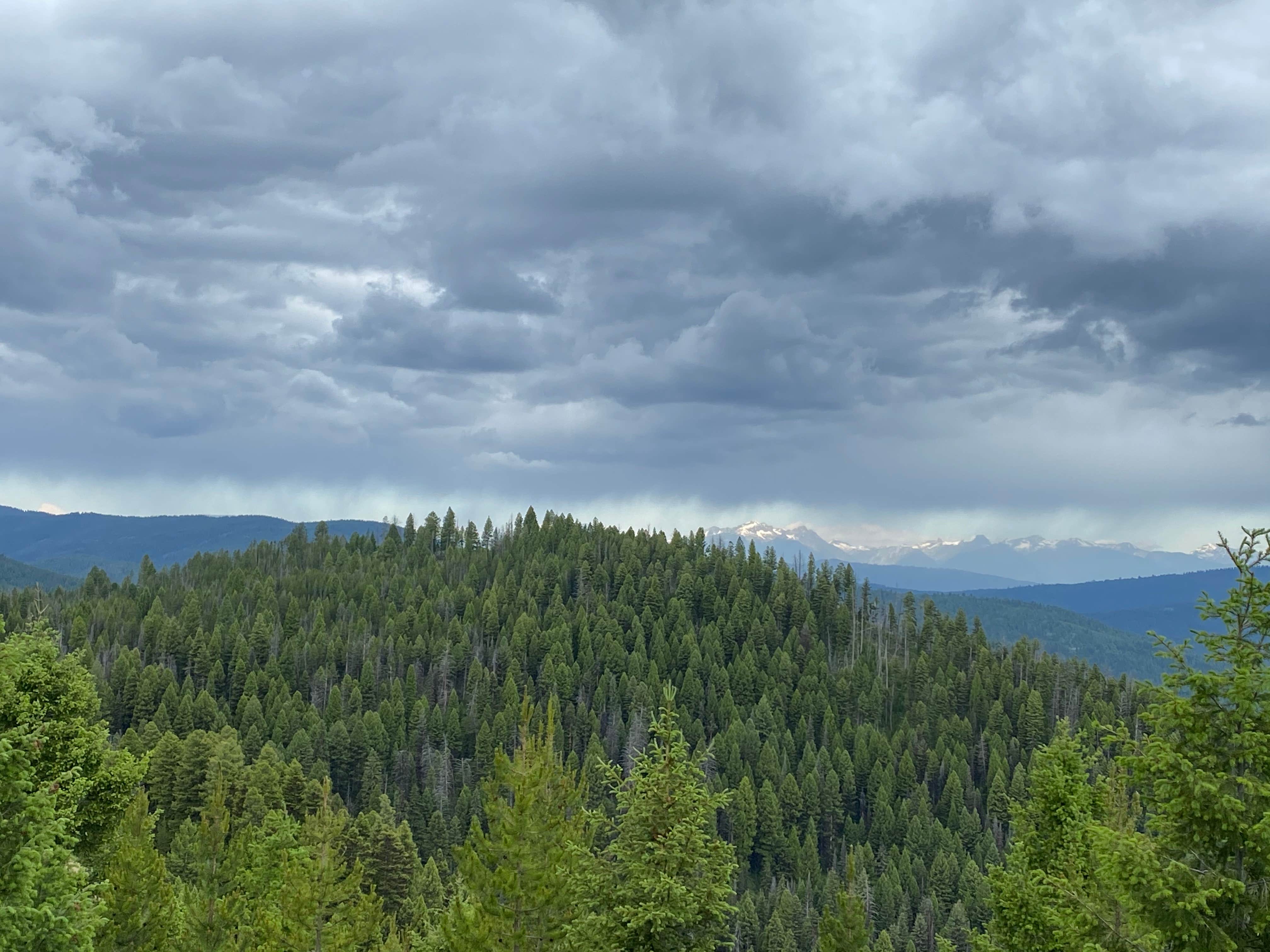 Camper-submitted photo at Martin Creek near Sula, MT