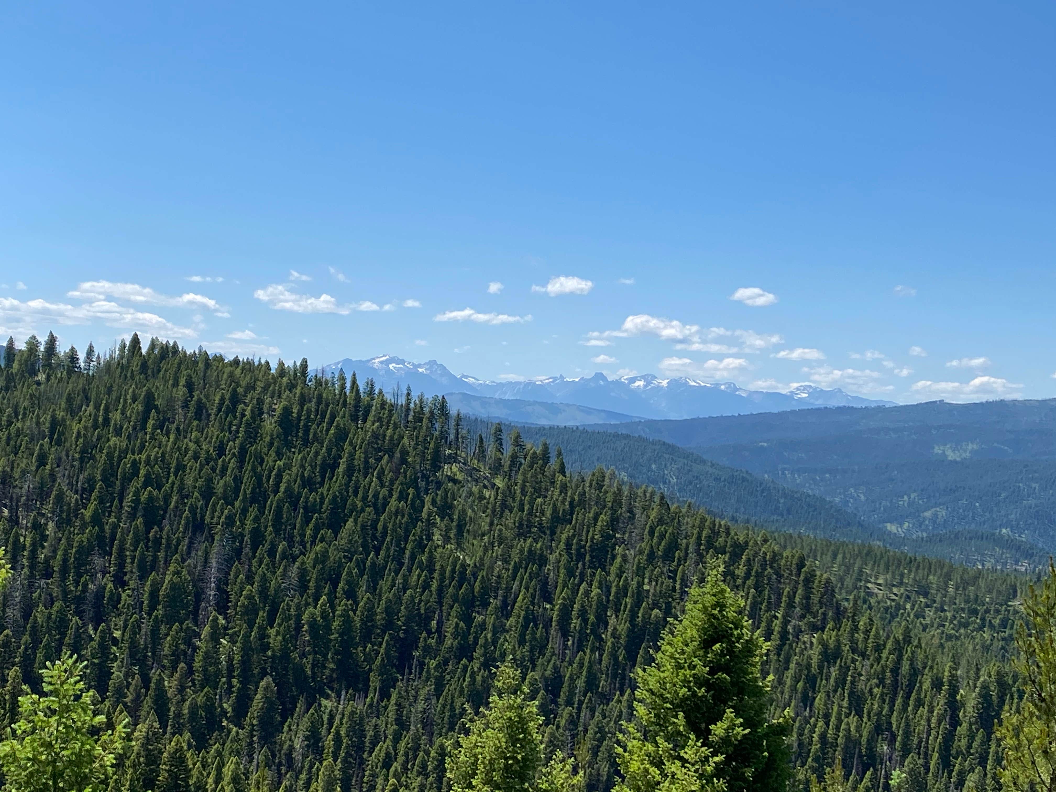 Camper-submitted photo at Martin Creek near Sula, MT