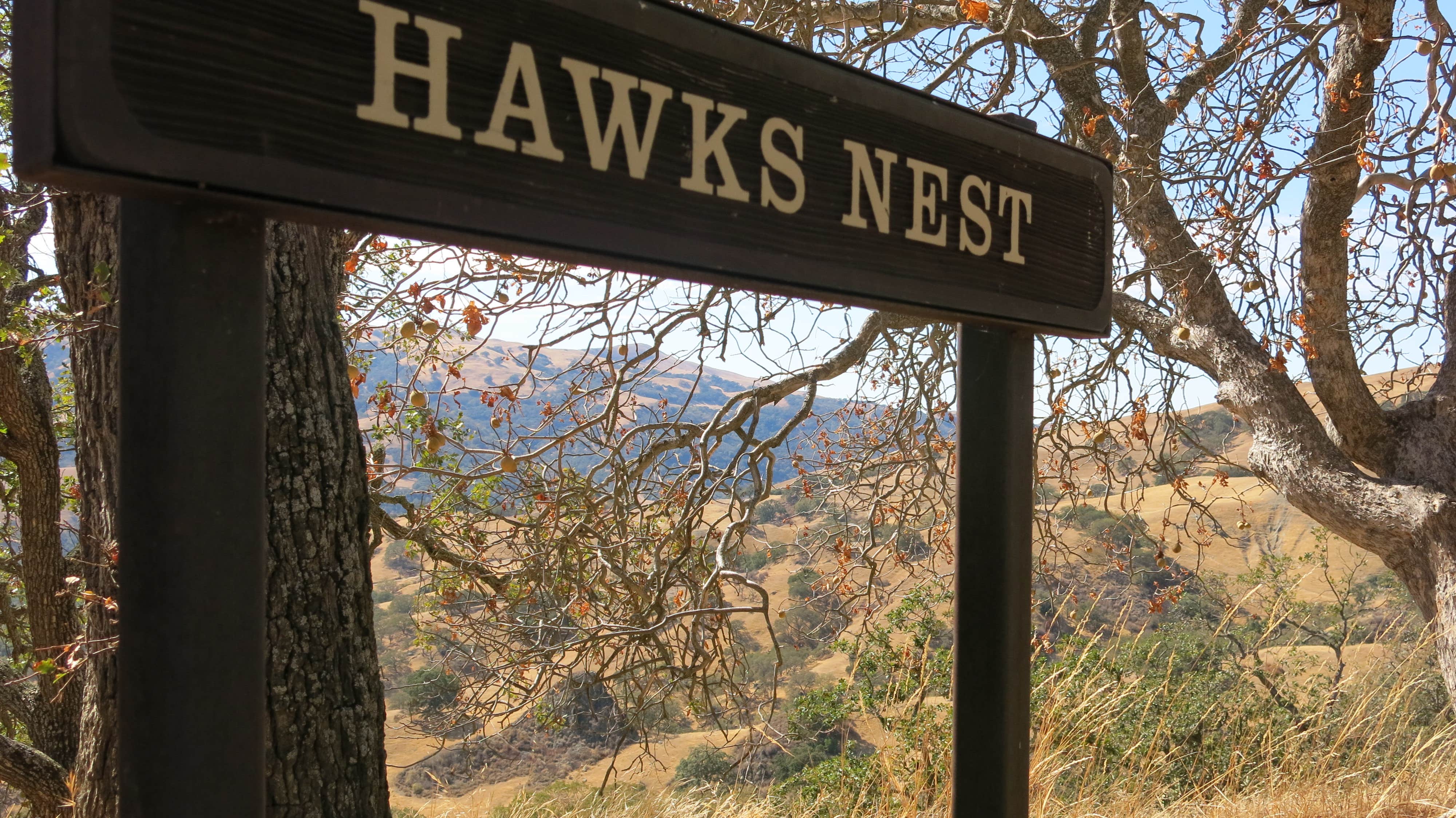 Camper submitted image from Sunol Regional Wilderness - 5