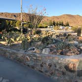 Review photo of Joshua Tree Lake RV & Campground by Lindy C., April 24, 2018