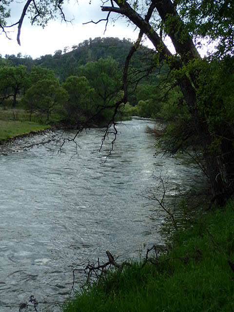 Camper-submitted photo at Snow Mountain Wilderness near Stonyford, CA