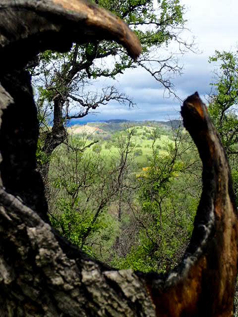 Camper-submitted photo at Snow Mountain Wilderness near Stonyford, CA