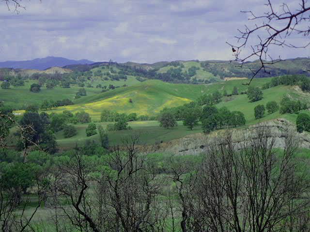 Camper-submitted photo at Snow Mountain Wilderness near Stonyford, CA