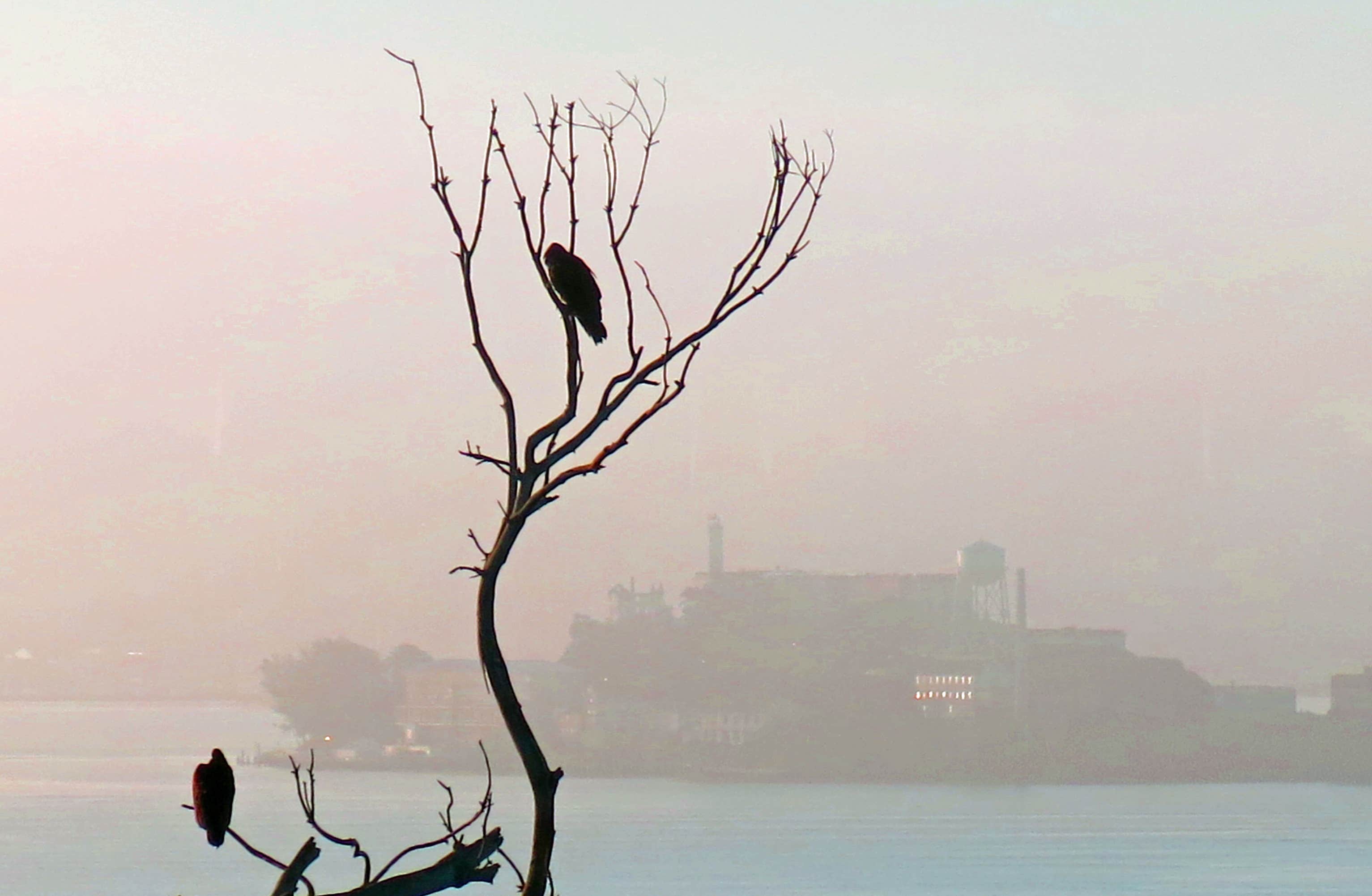 Camper-submitted photo at Sunrise Campground — Angel Island State Park near Martinez, CA