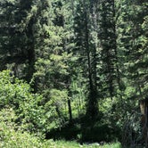 Review photo of Winsor Ridge Trailhead by Megan  E., August 13, 2020