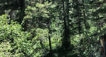 Winsor Ridge Trailhead