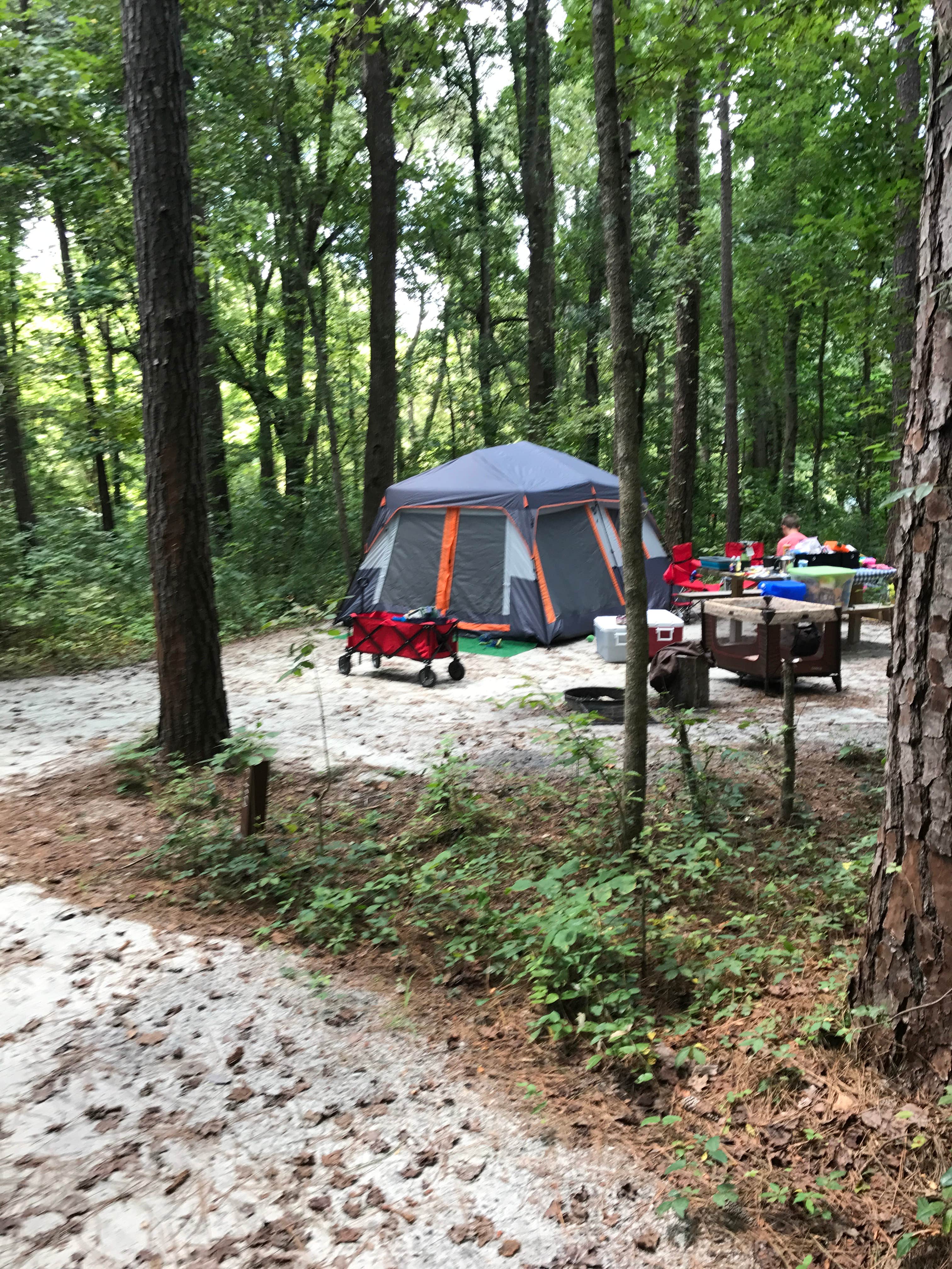 Trina W.'s photo at Givhans Ferry State Park Campground near Walterboro, SC