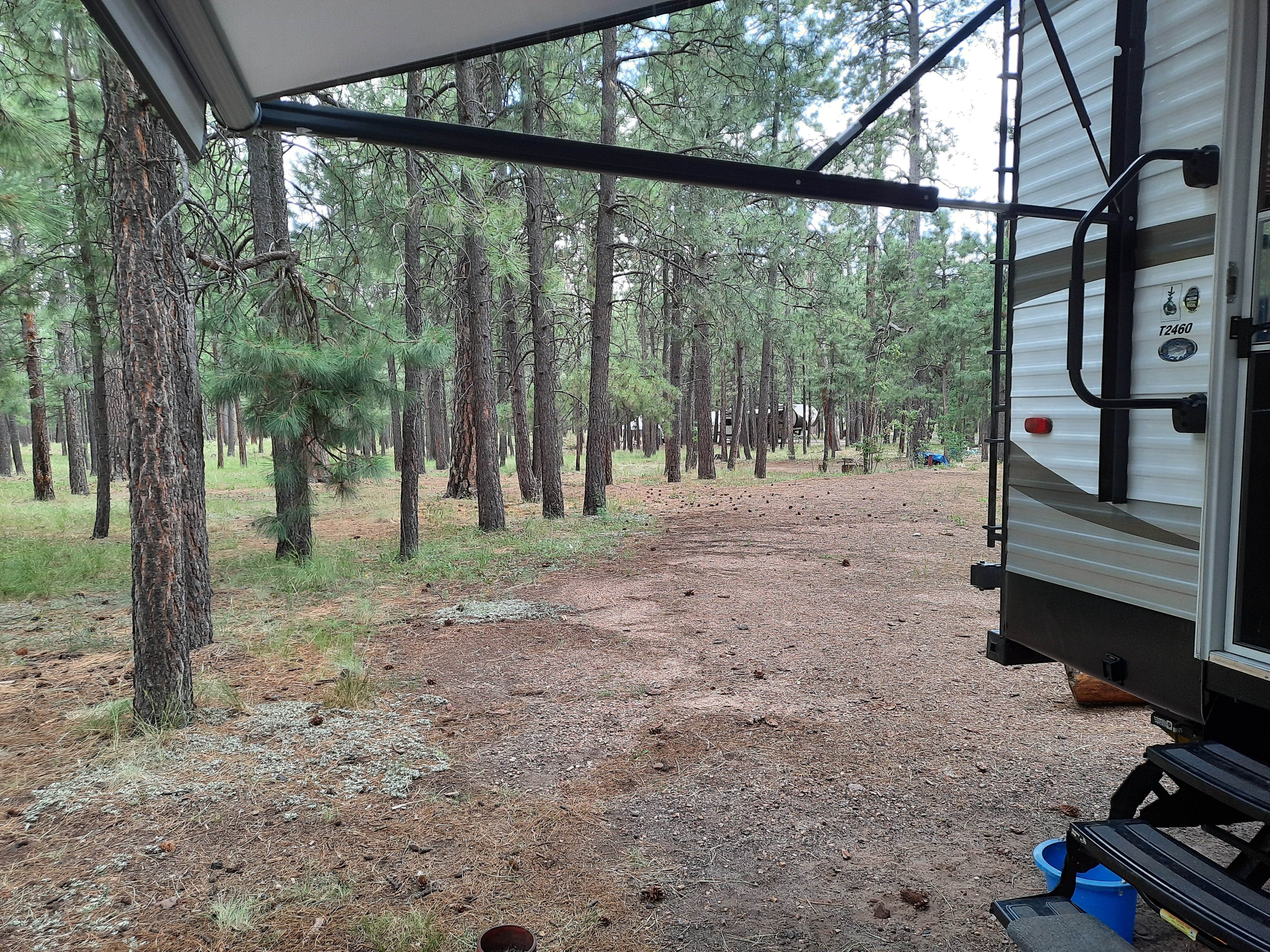 George B.'s photo of rv camping at Sitgreaves National Forest Canyon Point Campground near Forest Lakes, AZ