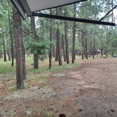 Review photo of Sitgreaves National Forest Canyon Point Campground by George B., August 13, 2020