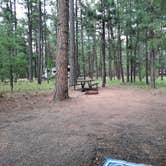 Review photo of Sitgreaves National Forest Canyon Point Campground by George B., August 13, 2020