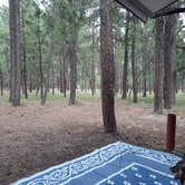 Review photo of Sitgreaves National Forest Canyon Point Campground by George B., August 13, 2020