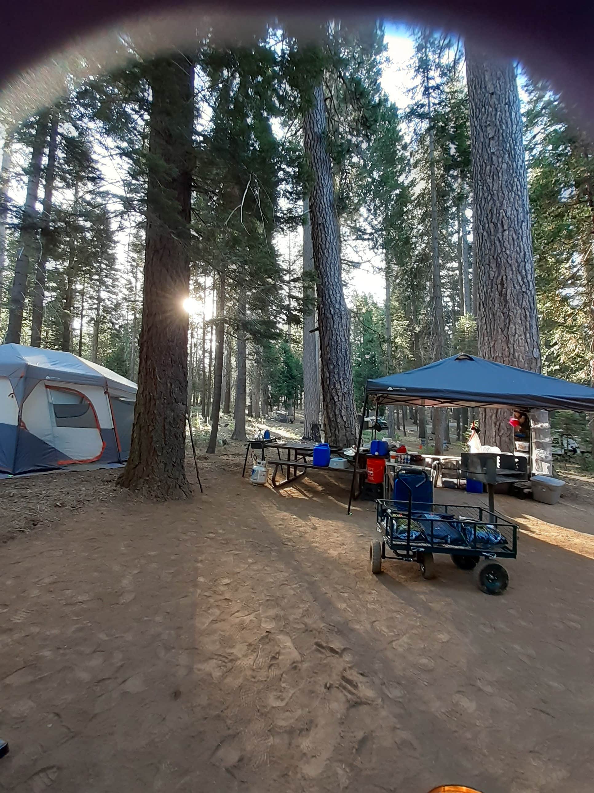 Camper submitted image from Stumpy Meadows - 2