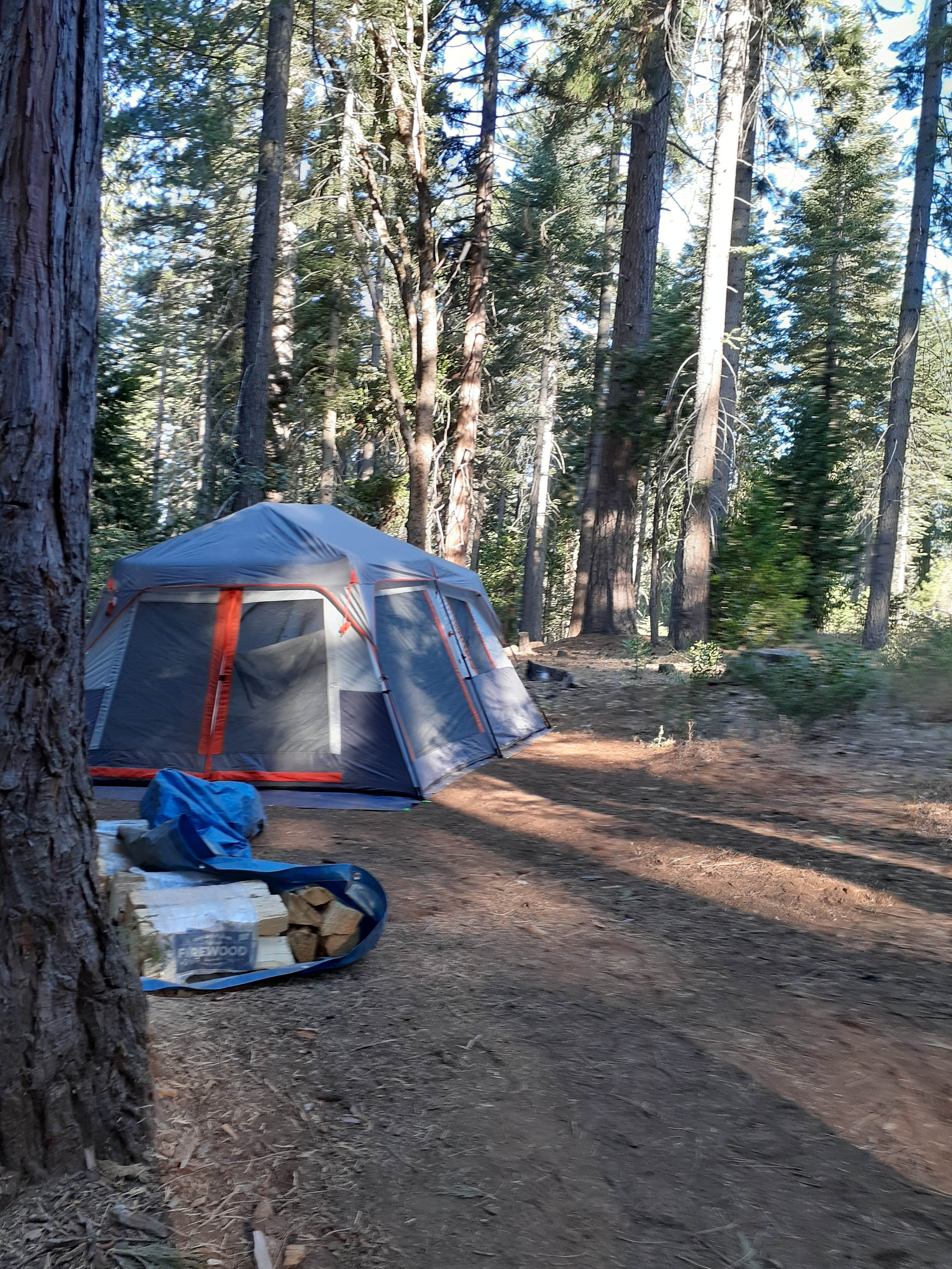 Camper submitted image from Stumpy Meadows - 4