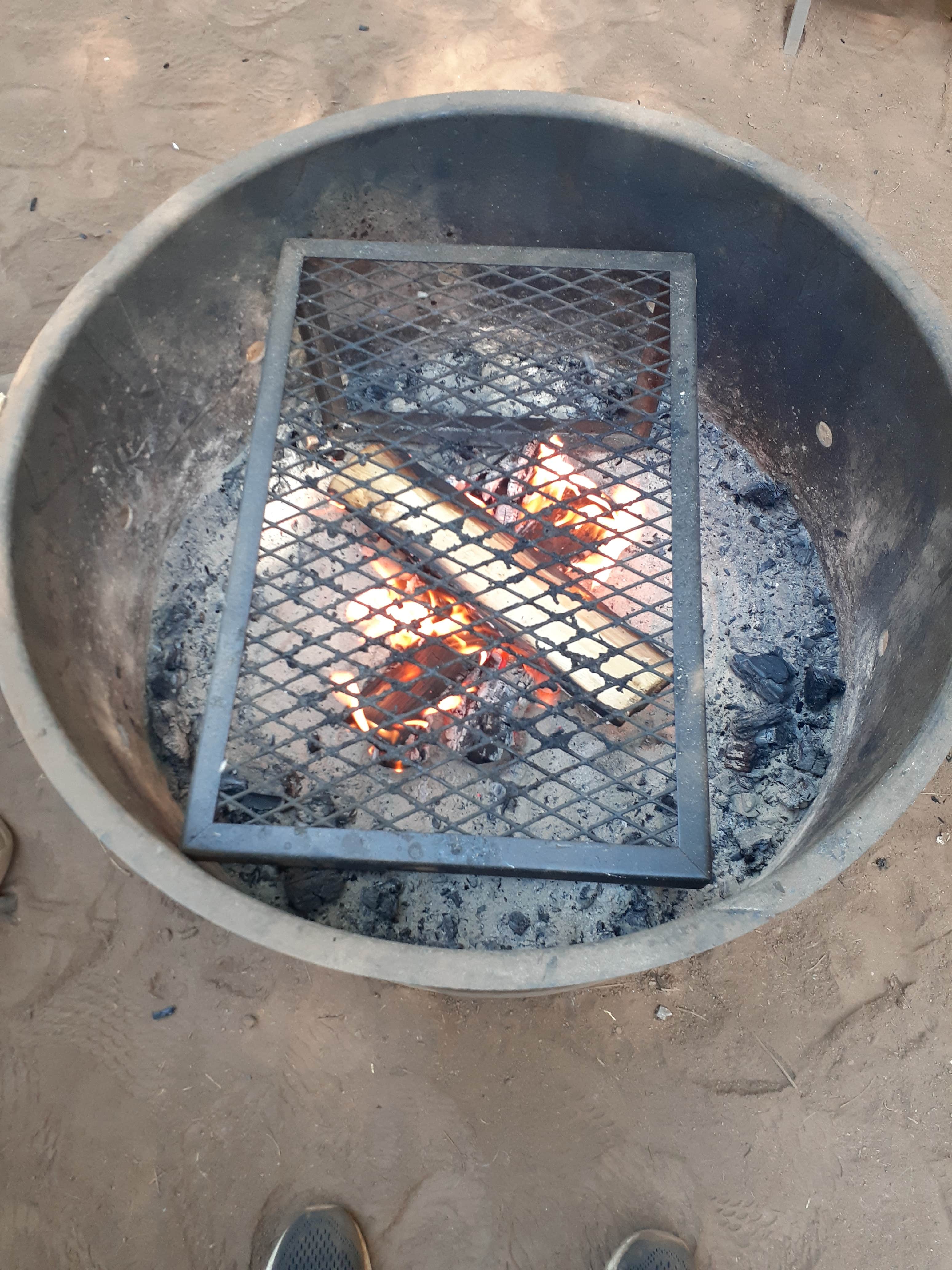 Camper submitted image from Stumpy Meadows - 4