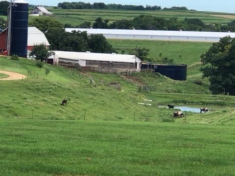 Camper-submitted photo at Rustic Barn Campground RV Park near Oxford Junction, IA