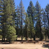 Review photo of Hartley Springs Campground by Jennifer D., August 13, 2020