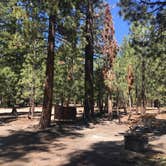 Review photo of Hartley Springs Campground by Jennifer D., August 13, 2020