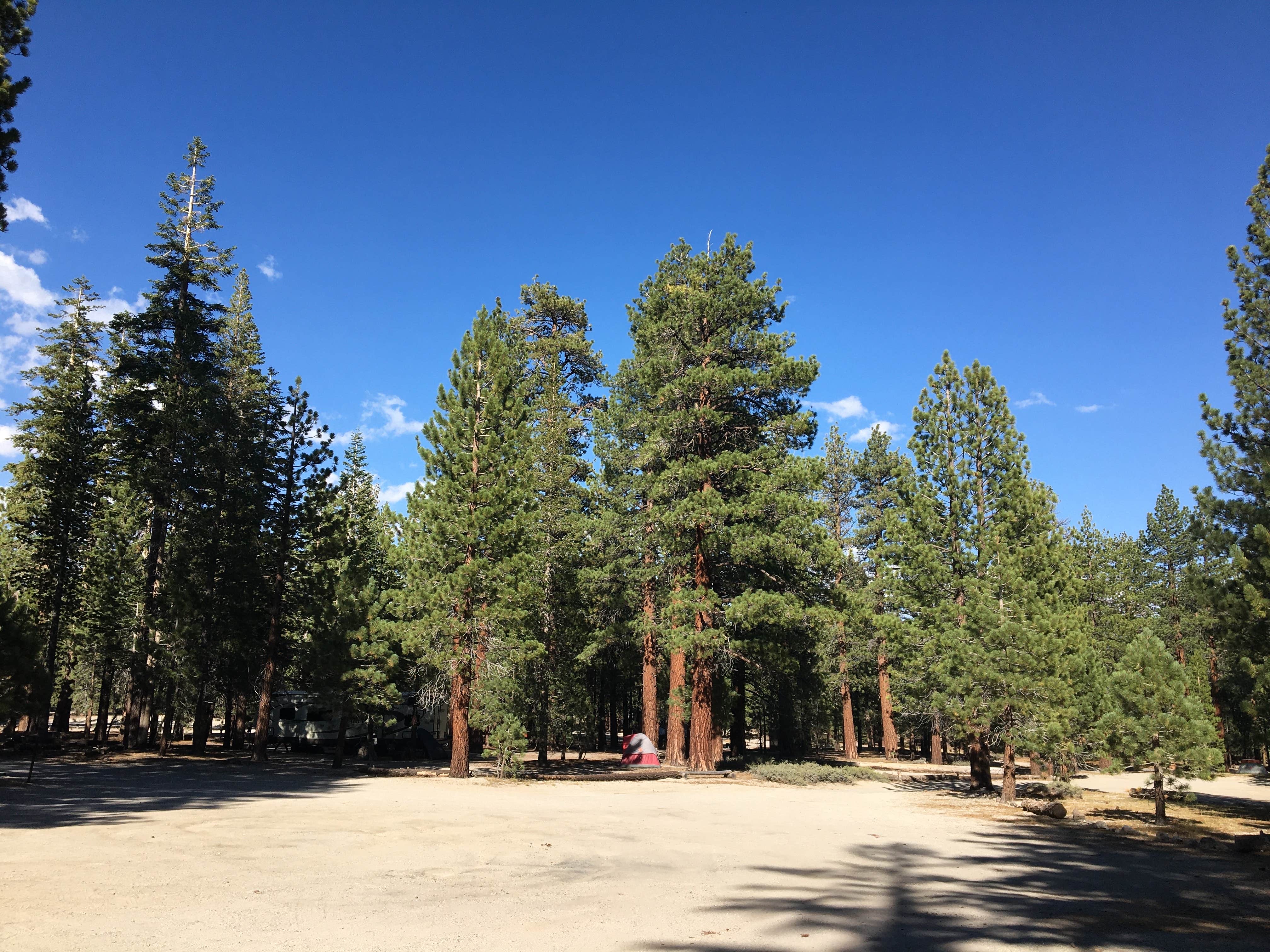 Camper submitted image from Hartley Springs Campground - 1
