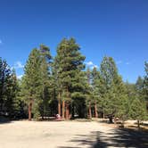 Review photo of Hartley Springs Campground by Jennifer D., August 13, 2020