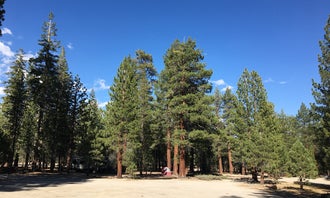 Camping near June Lake RV Park and Lodge: Hartley Springs Campground, June Lake, California