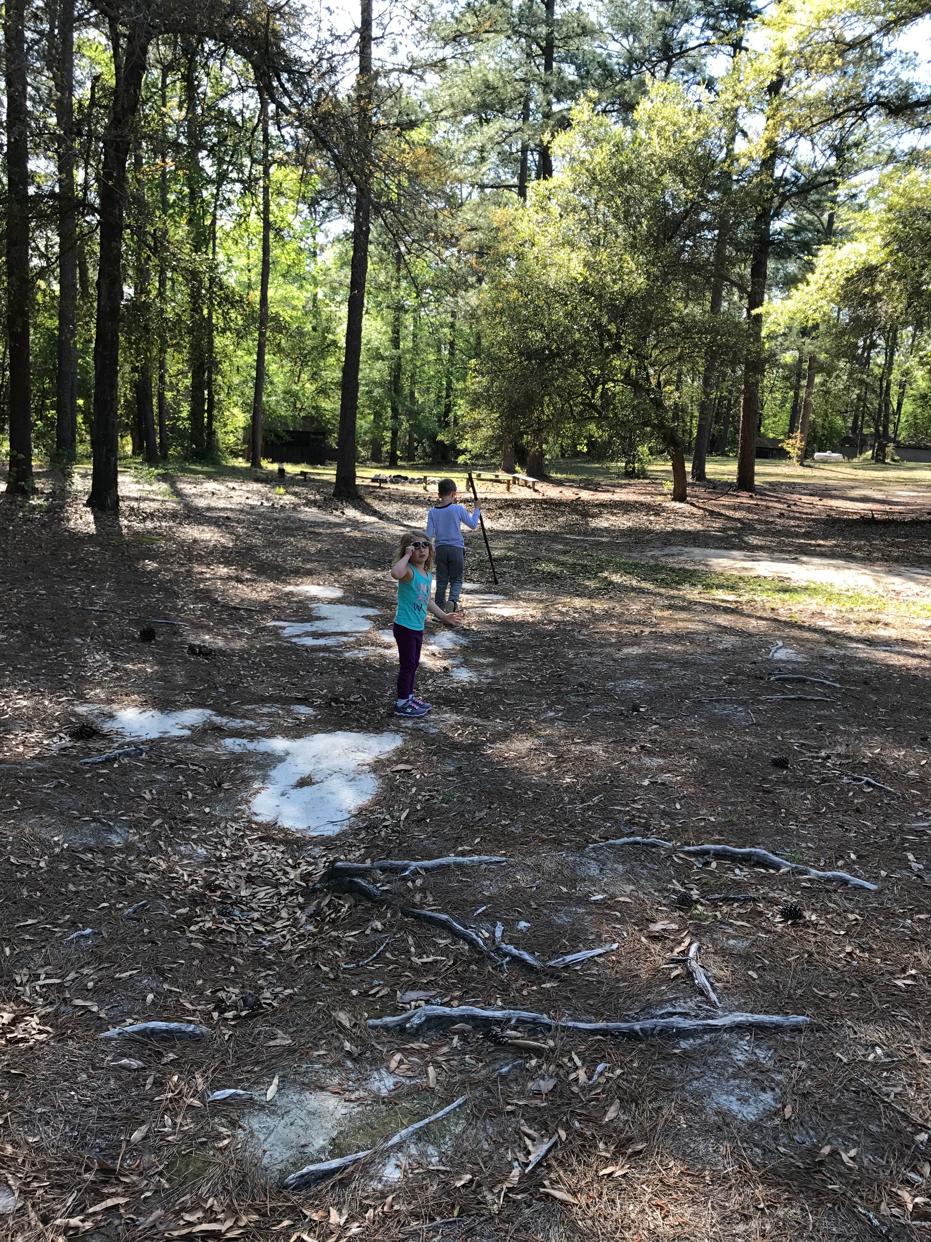 Camper submitted image from Cheraw State Park Campground — Cheraw State Park - 2