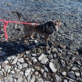 Review photo of Upper Skilak Lake Campground - Kenai National Wildlife Refuge by Tanya B., August 13, 2020