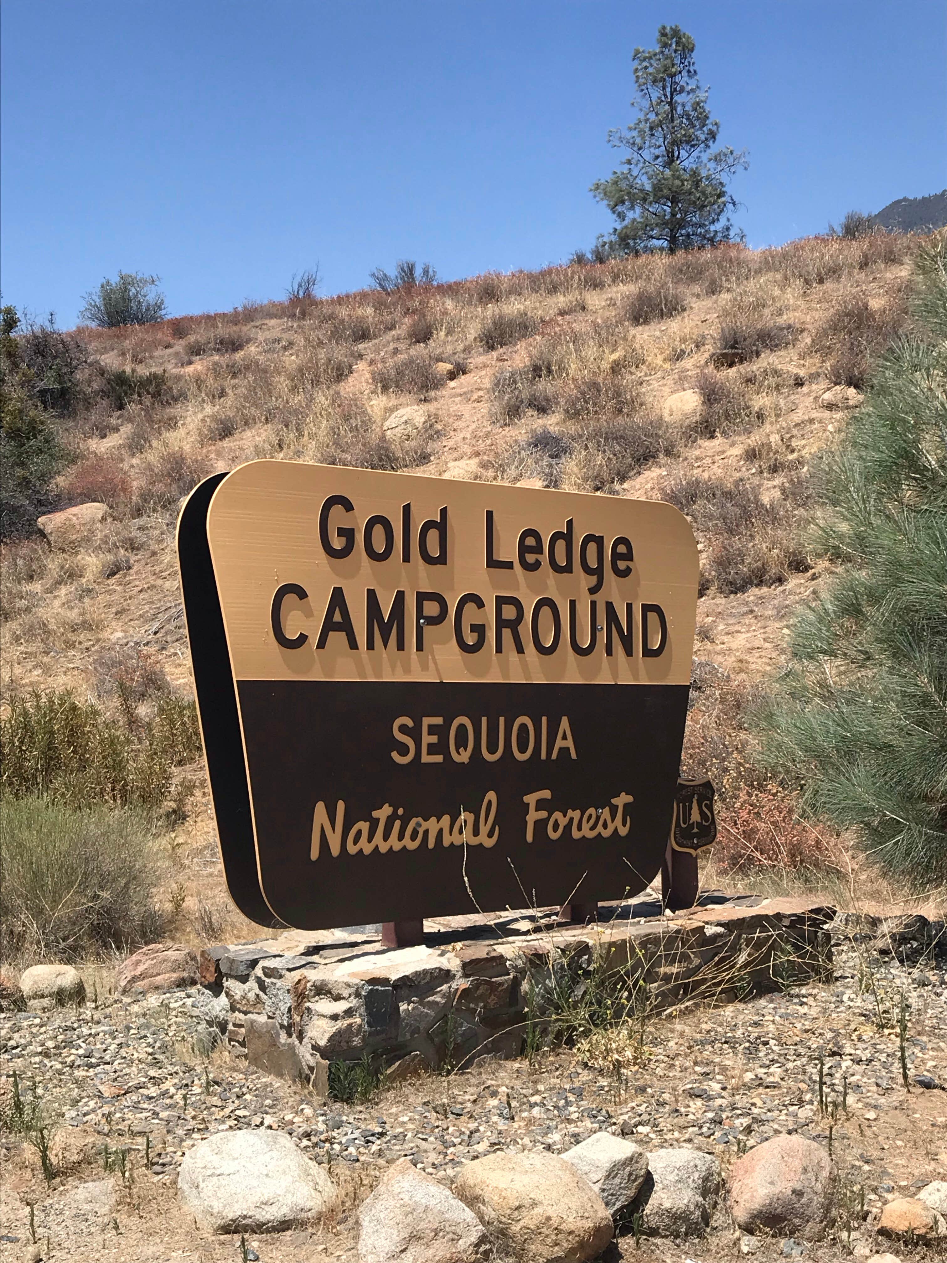 Camper submitted image from Gold Ledge Campground - 5