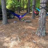 Review photo of Cheraw State Park Campground — Cheraw State Park by Trina W., April 25, 2018