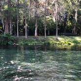 Review photo of Kelly Park Campground by Erika P., August 13, 2020