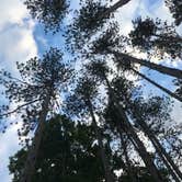 Review photo of Mt Gilead State Park Campground by Shannon G., August 13, 2020