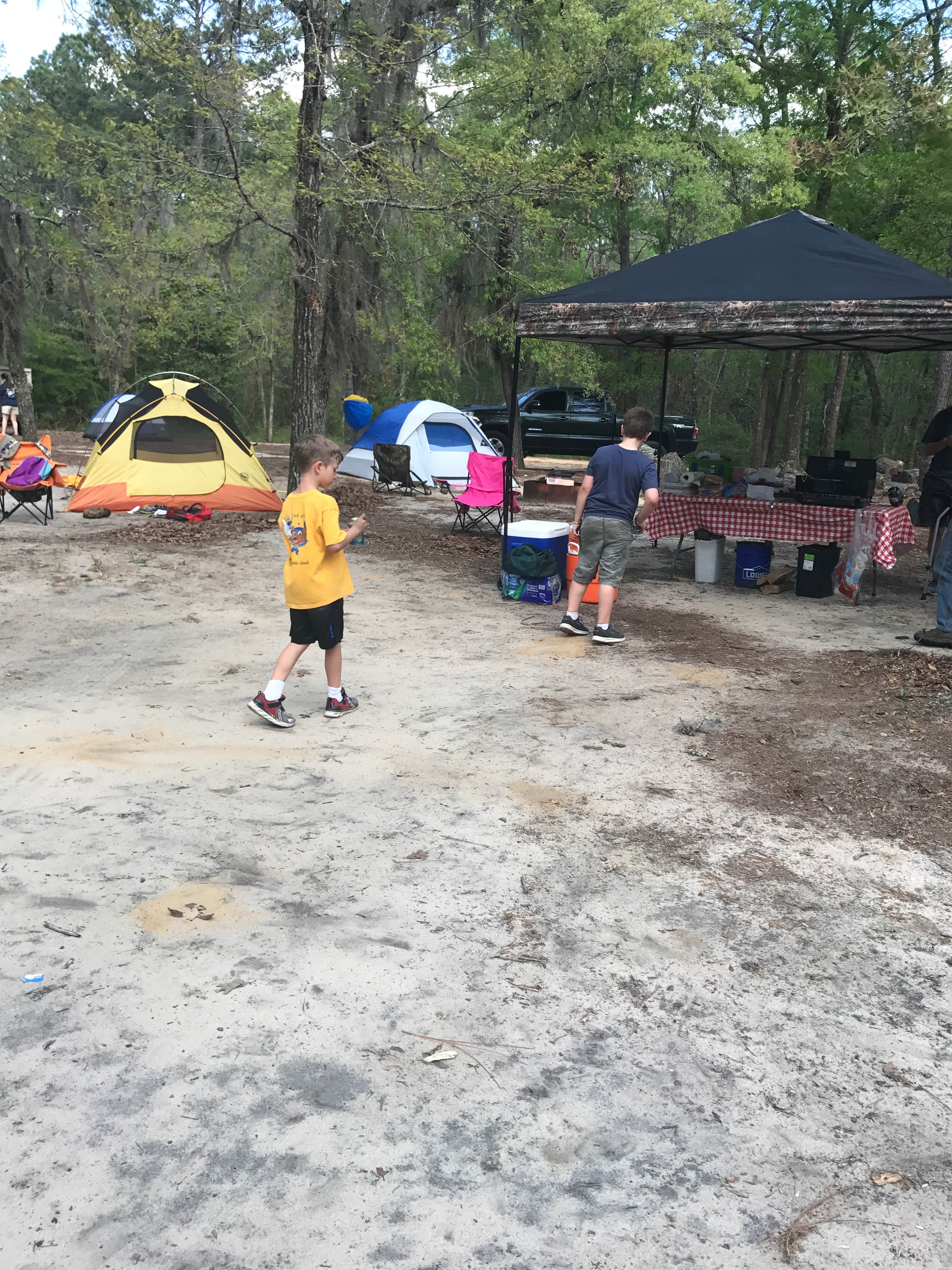Camper submitted image from Lynches River County Park - 2