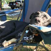 Review photo of Mt Gilead State Park Campground by Shannon G., August 13, 2020