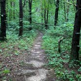 Review photo of Shale Bluff Campground — Hardy Lake State Recreation Area by Stacey S., August 13, 2020