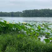 Review photo of Shale Bluff Campground — Hardy Lake State Recreation Area by Stacey S., August 13, 2020